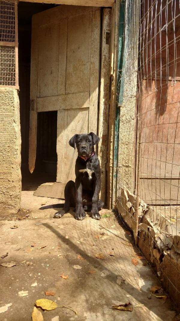 Ulisse Foto 2